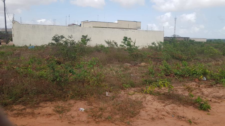 Terreno - Venda - Cana� - Pa�o do Lumiar - MA