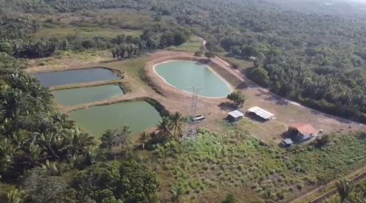 Chácara - Venda - Estrada de Ribamar - São José de Ribamar - MA