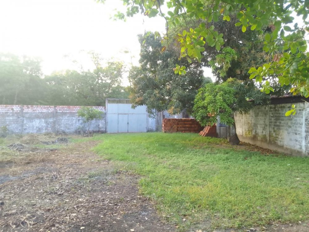 Terreno - Venda - Turu - So Lus - MA