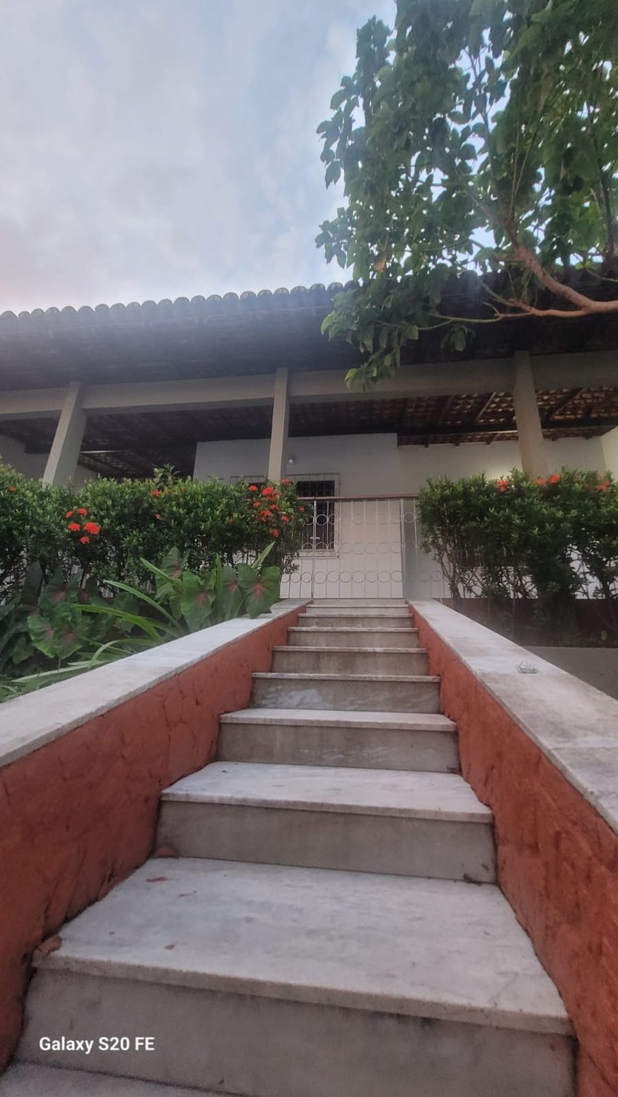 Casa - Aluguel - Renascena - So Lus - MA