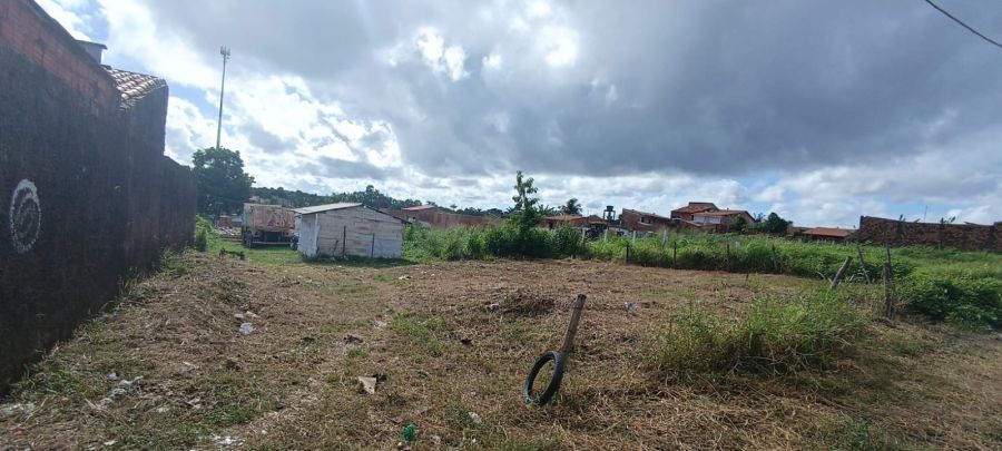 Terreno - Venda - Vila Luizão - São Luís - MA