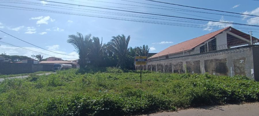 Terreno - Venda - Calhau - São Luís - MA
